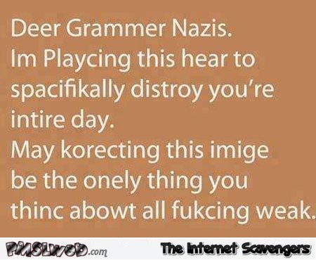 Funny grammar nazi teasing at PMSLweb.com