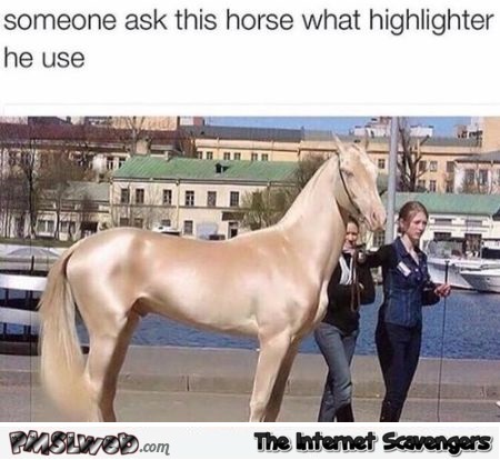 Funny what highlighter does this horse use at PMSLweb.com