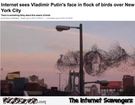 Vladimir Putin's face on flock of birds at PMSLweb.com