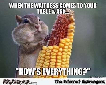 Funny waitress meme at PMSLweb.com