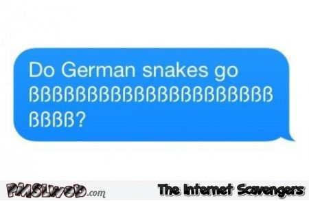German snake joke – Funny Germany at PMSLweb.com