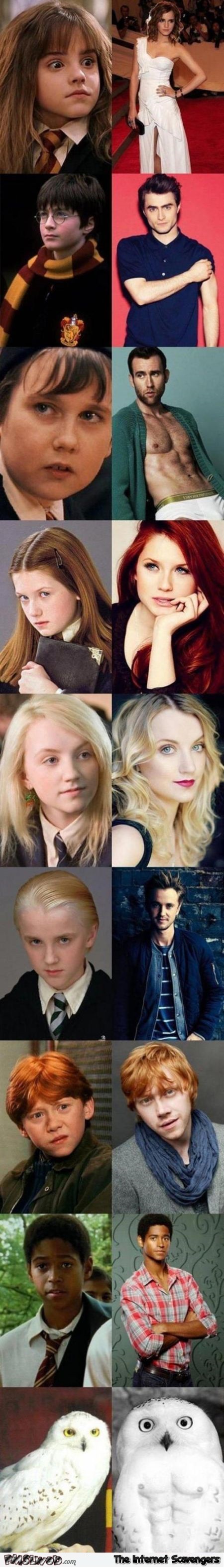 Funny Harry Potter then and now at PMSLweb.com