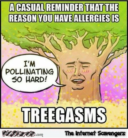 Treegasms meme at PMSLweb.com