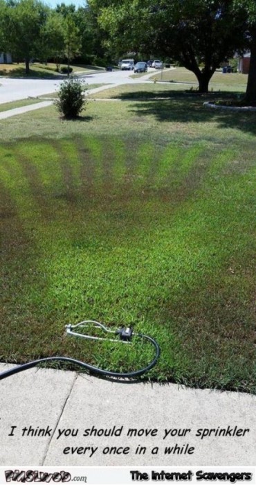 Move your sprinkler once in a while humor