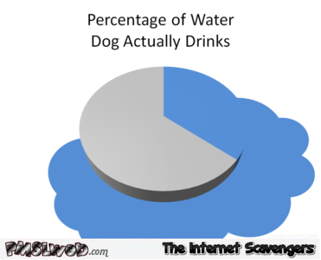 Percentage of water the dog actually drinks funny graph