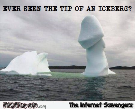 Ever seen the tip of an iceberg humor at PMSLweb.com