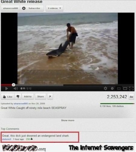 White shark release funny youtube comment at PMSLweb.com