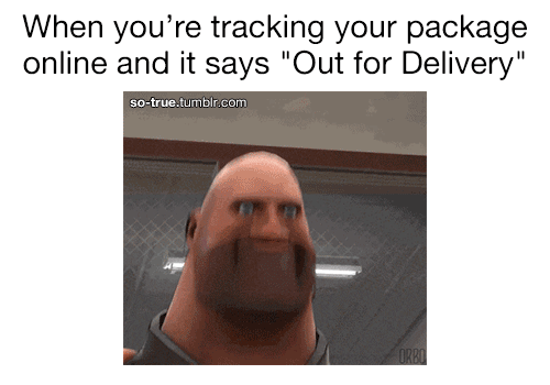 Tracking your package online be like