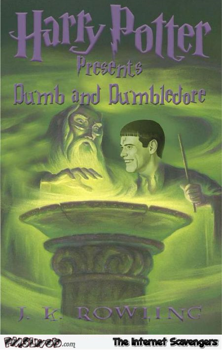 Funny Harry Potter dumb and Dumbledore book at PMSLweb.com