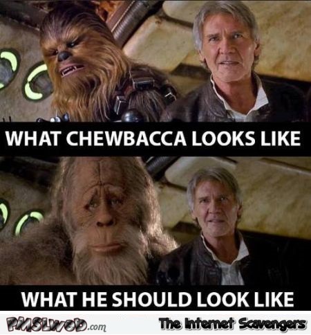 What Chewbacca should look like humor at PMSLweb.com
