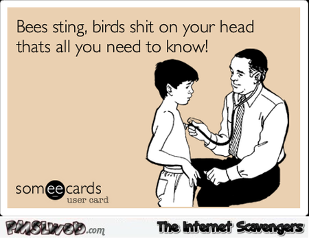 Sarcastic birds and bees ecard