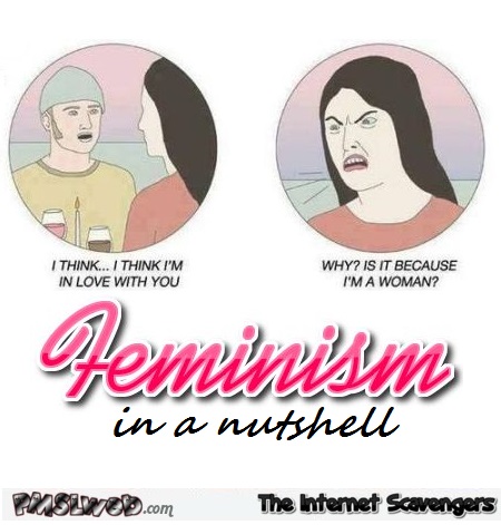 Feminism in a nutshell humor at PMSLweb.com