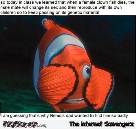 Funny why Nemo’s dad wanted to find him so badly at PMSLweb.com
