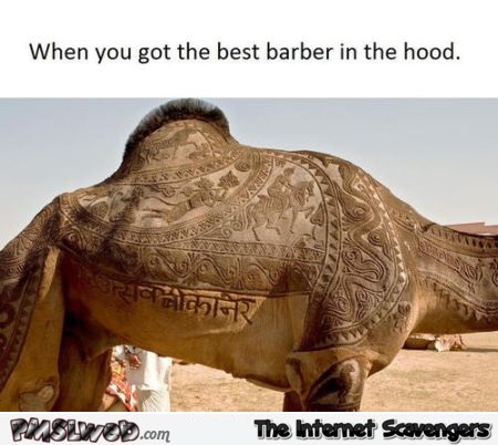 Dromedary has the best barber funny at PMSLweb.com