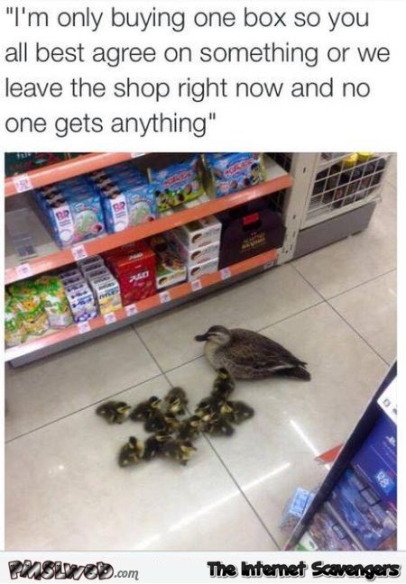 Funny duck at the store with its kids at PMSLweb.com