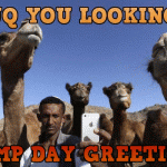 Funny hump day greetings – Wednesday madness @PMSLweb.com