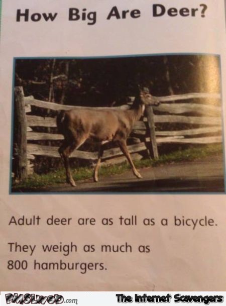 Funny deer fact @PMSLweb.com