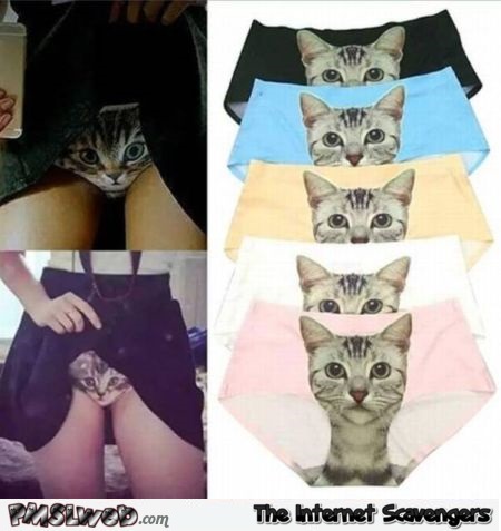Funny pussy undies – Silly pictures @PMSLweb.com
