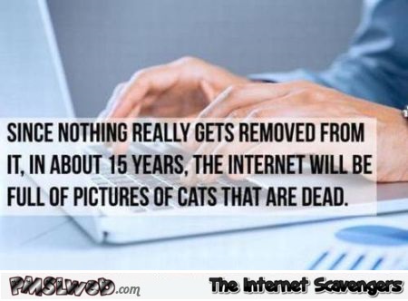 The internet will be full of pictures of dead cats at PMSLweb.com