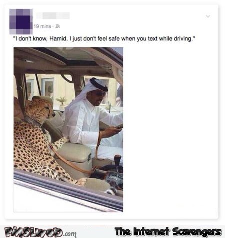 Funny Arabic texting while driving @PMSLweb.com