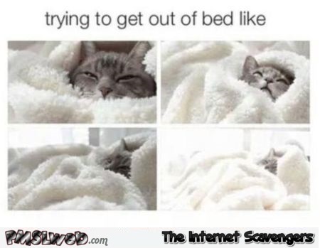 Trying to get out of bed like @PMSLweb.com