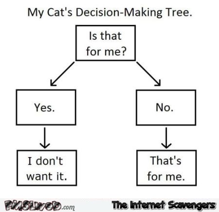 Cat’s decision making tree at PMSLweb.com