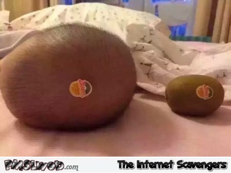 Kiwi versus baby head humor at PMSLweb.com