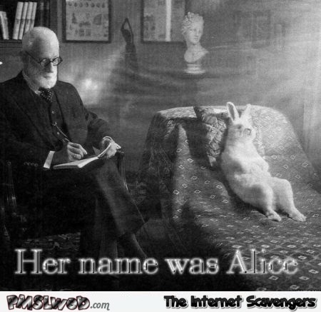 Alice in Wonderland humor at PMSLweb.com