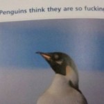 Penguins think they are great sarcasm – Wednesday ROFL @PMSLweb.com