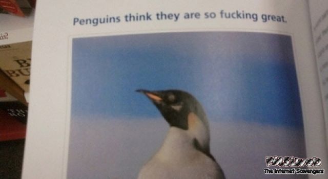 Penguins think they are great sarcasm