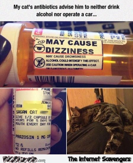 Funny cat antibiotics label – Monday humor at PMSLweb.com