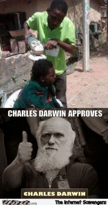 Funny Darwin award