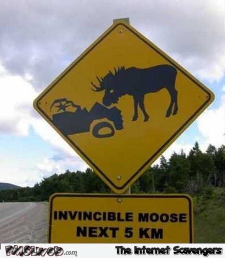 Invincible moose sign @PMSLweb.com