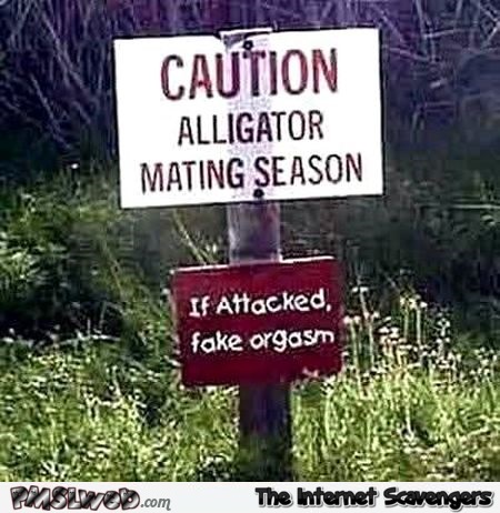 Funny alligator mating season sign @PMSLweb.com