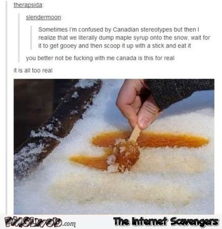 Canada is all too real humor – Funny Canada @PMSLweb.com