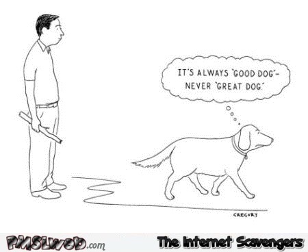 It’s always good dog never great dog cartoon- Hilarious Friday pictures @PMSLweb.com