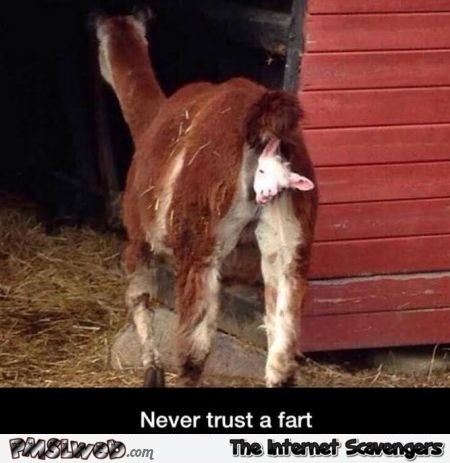 Never trust a fart humor @PMSLweb.com