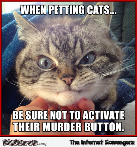 When petting cats meme @PMSLweb.com