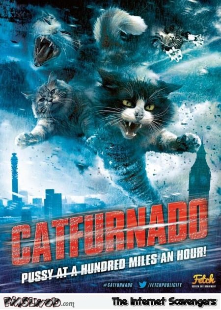 Catfurnado funny poster @PMSLweb.com