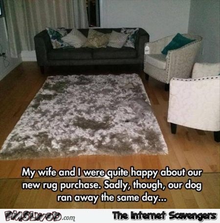 Dog blends into rug humor @PMSLweb.com