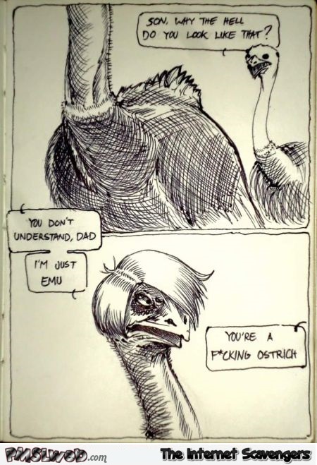 I’m just emu funny cartoon – Crazy Friday @PMSLweb.com