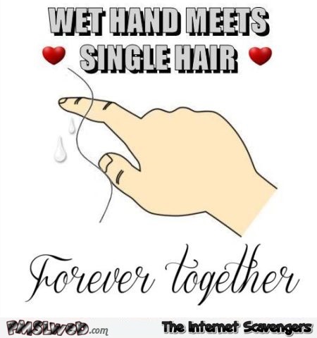 Wet hand meets single hair meme @PMSLweb.com
