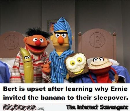 Funny Sesame Street Burt is upset @PMSLweb.com