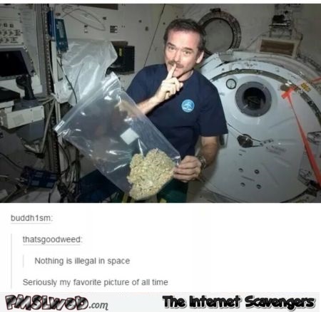 Smoking weed in space humor @PMSLweb.com