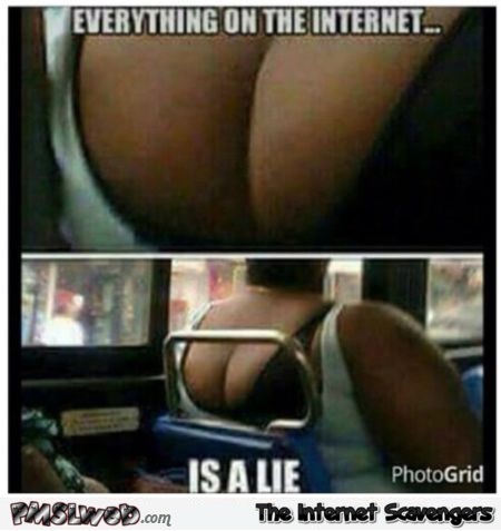 Everything on the internet is a lie meme