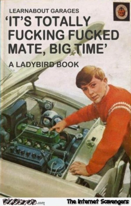 Hilarious ladybird book