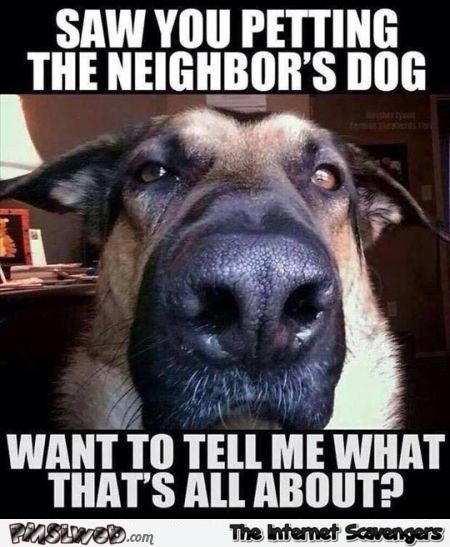 Saw you petting the neighbor’s dog meme – Weekend humor @PMSLweb.com