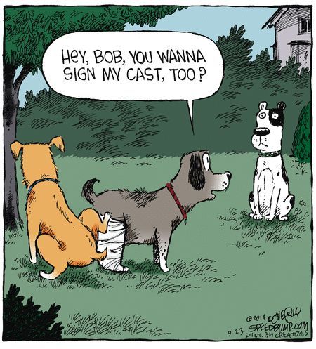 You wanna sign my cast funny dog cartoon @PMSLweb.com
