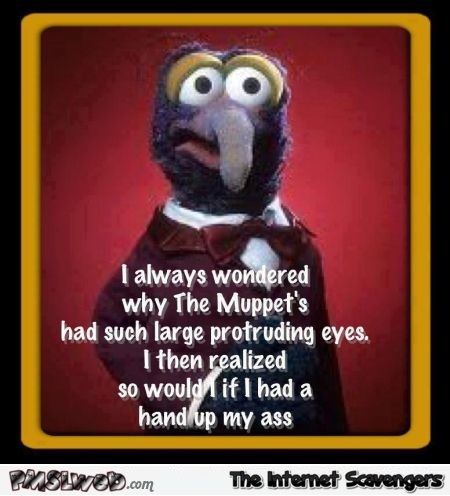 Why Muppets have protruding eyes joke – Hilarious Wednesday @PMSLweb.com