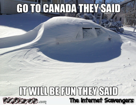 Go to Canada they said meme @PMSLweb.com